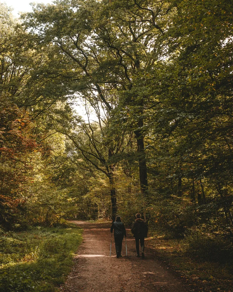 Dos personas caminando a paso ligero por un sendero arbolado en otoño